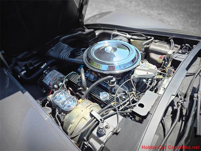 1981 Chevrolet Corvette (CC-2087693) for sale in MARTINSBURG, Pennsylvania