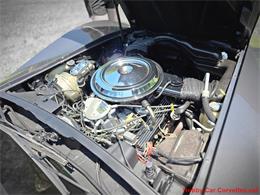 1981 Chevrolet Corvette (CC-2087693) for sale in MARTINSBURG, Pennsylvania