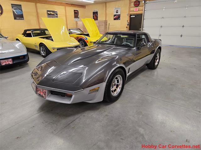 1981 Chevrolet Corvette (CC-2087693) for sale in MARTINSBURG, Pennsylvania