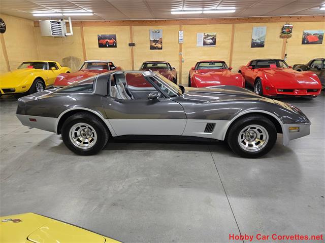 1981 Chevrolet Corvette (CC-2087693) for sale in MARTINSBURG, Pennsylvania