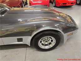 1981 Chevrolet Corvette (CC-2087693) for sale in MARTINSBURG, Pennsylvania