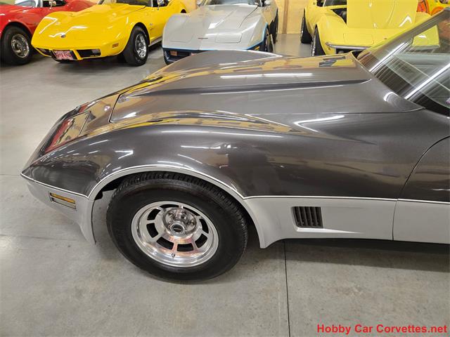 1981 Chevrolet Corvette (CC-2087693) for sale in MARTINSBURG, Pennsylvania