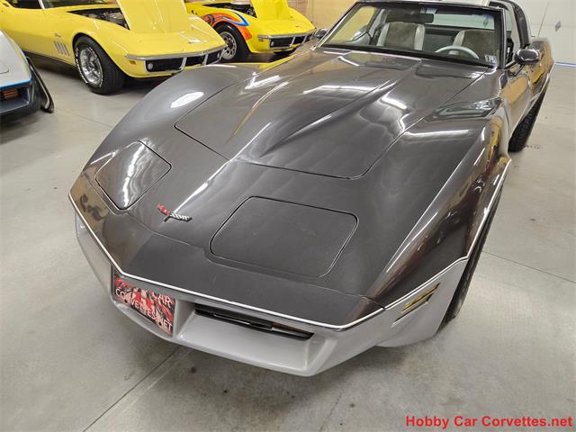 1981 Chevrolet Corvette (CC-2087693) for sale in MARTINSBURG, Pennsylvania