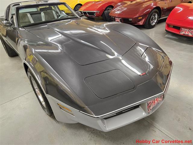 1981 Chevrolet Corvette (CC-2087693) for sale in MARTINSBURG, Pennsylvania