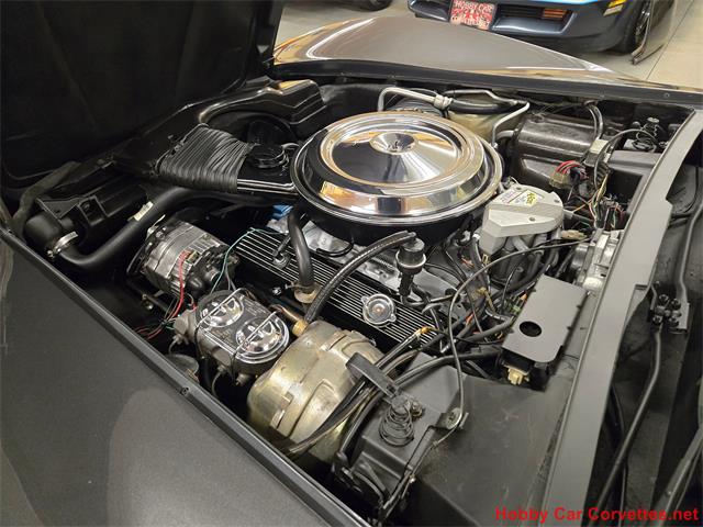 1981 Chevrolet Corvette (CC-2087693) for sale in MARTINSBURG, Pennsylvania