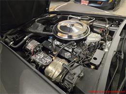 1981 Chevrolet Corvette (CC-2087693) for sale in MARTINSBURG, Pennsylvania
