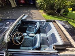 1967 Ford Mustang (CC-2087698) for sale in Waconia , Minnesota