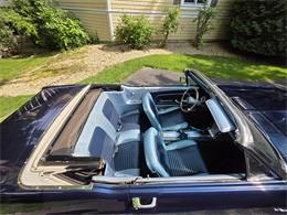 1967 Ford Mustang (CC-2087698) for sale in Waconia , Minnesota
