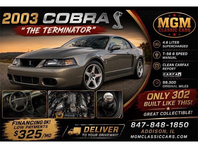 2003 Ford Mustang SVT Cobra (CC-2087716) for sale in Addison, Illinois
