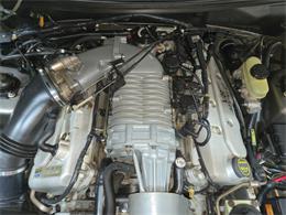 2003 Ford Mustang SVT Cobra (CC-2087716) for sale in Addison, Illinois