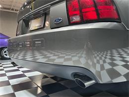2003 Ford Mustang SVT Cobra (CC-2087716) for sale in Addison, Illinois