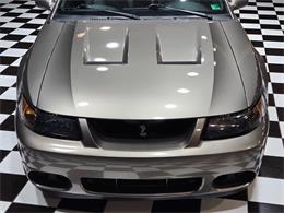 2003 Ford Mustang SVT Cobra (CC-2087716) for sale in Addison, Illinois