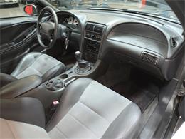 2003 Ford Mustang SVT Cobra (CC-2087716) for sale in Addison, Illinois