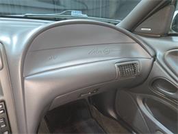 2003 Ford Mustang SVT Cobra (CC-2087716) for sale in Addison, Illinois