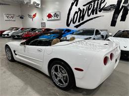 2004 Chevrolet Corvette (CC-2087739) for sale in Dallas, Texas
