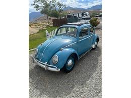 1963 Volkswagen Beetle (CC-2087753) for sale in Cadillac, Michigan