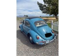 1963 Volkswagen Beetle (CC-2087753) for sale in Cadillac, Michigan