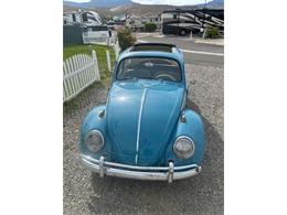 1963 Volkswagen Beetle (CC-2087753) for sale in Cadillac, Michigan