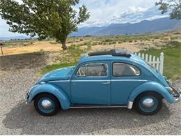 1963 Volkswagen Beetle (CC-2087753) for sale in Cadillac, Michigan