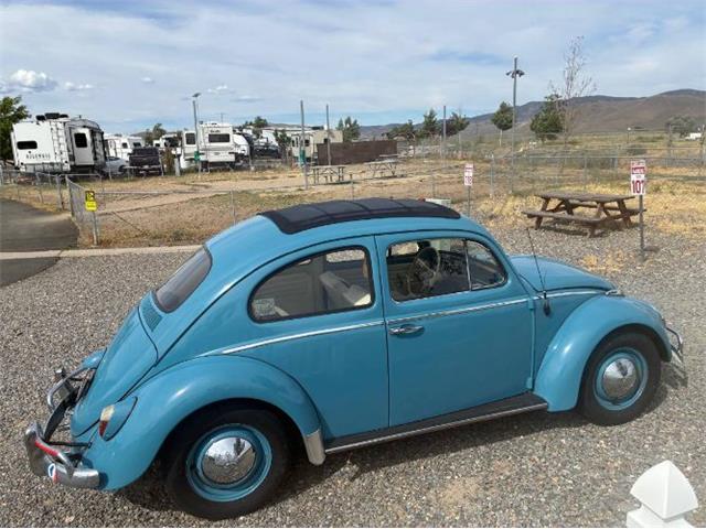 1963 Volkswagen Beetle (CC-2087753) for sale in Cadillac, Michigan