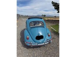 1963 Volkswagen Beetle (CC-2087753) for sale in Cadillac, Michigan