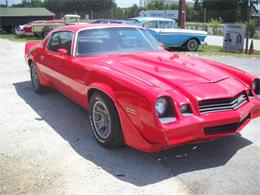 1981 Chevrolet Camaro (CC-2087770) for sale in Gray Court, South Carolina