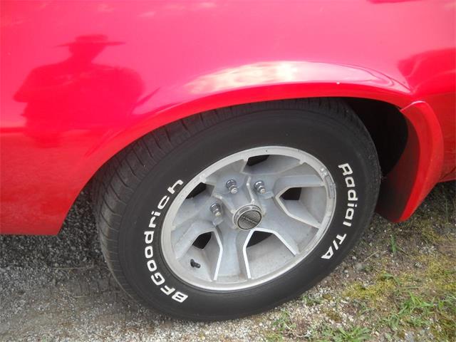 1981 Chevrolet Camaro (CC-2087770) for sale in Gray Court, South Carolina