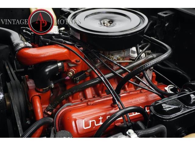 1975 International Scout (CC-2087771) for sale in Statesville, North Carolina