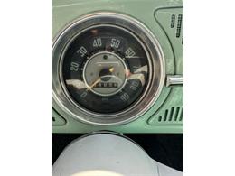 1965 Volkswagen Beetle (CC-2087809) for sale in Spring Branch, Texas