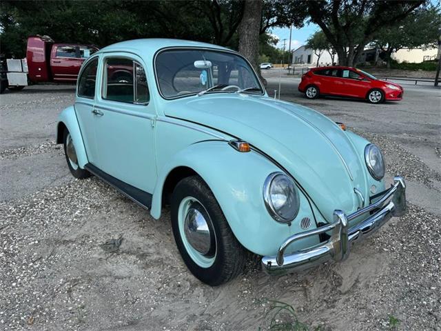 1965 Volkswagen Beetle (CC-2087809) for sale in Spring Branch, Texas