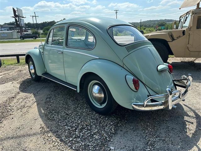 1965 Volkswagen Beetle (CC-2087809) for sale in Spring Branch, Texas