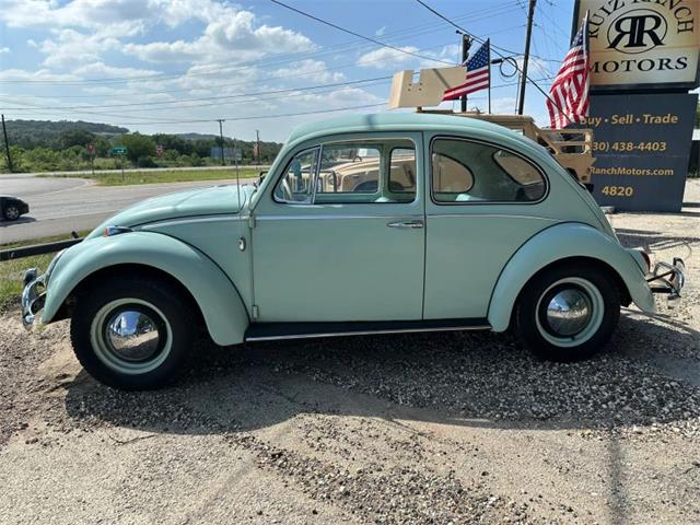 1965 Volkswagen Beetle (CC-2087809) for sale in Spring Branch, Texas