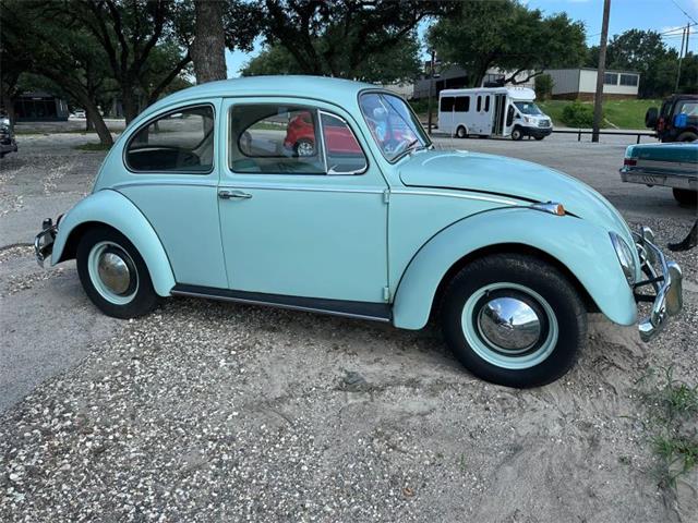 1965 Volkswagen Beetle (CC-2087809) for sale in Spring Branch, Texas