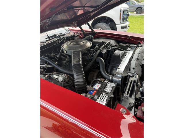 1979 Ford Ranchero 500 (CC-2087818) for sale in Citrus Springs, Florida