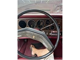 1979 Ford Ranchero 500 (CC-2087818) for sale in Citrus Springs, Florida