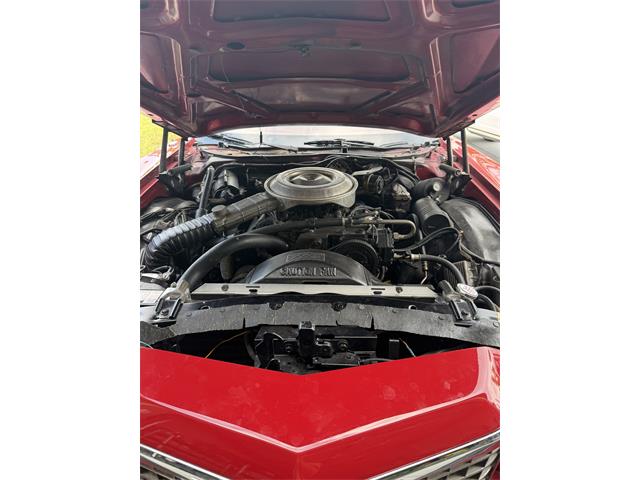 1979 Ford Ranchero 500 (CC-2087818) for sale in Citrus Springs, Florida