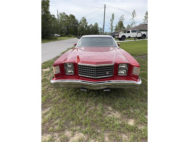 1979 Ford Ranchero 500 (CC-2087818) for sale in Citrus Springs, Florida