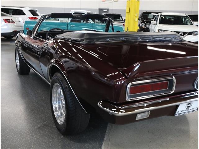 1967 Chevrolet Camaro Z28 (CC-2080784) for sale in Addison, Illinois