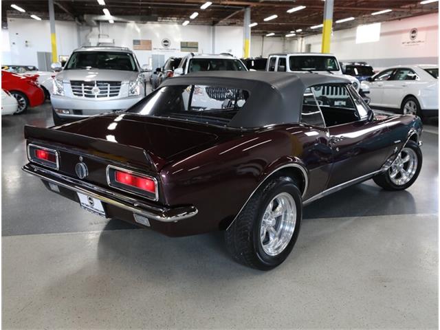 1967 Chevrolet Camaro Z28 (CC-2080784) for sale in Addison, Illinois