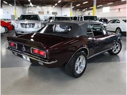 1967 Chevrolet Camaro Z28 (CC-2080784) for sale in Addison, Illinois