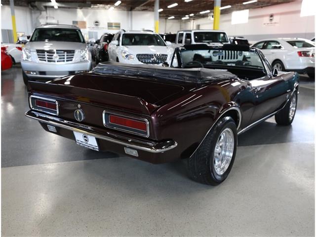 1967 Chevrolet Camaro Z28 (CC-2080784) for sale in Addison, Illinois