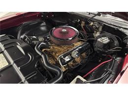 1972 Oldsmobile Cutlass (CC-2087841) for sale in Clearwater, Florida