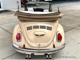 1971 Volkswagen Beetle (CC-2087845) for sale in Calverton, New York