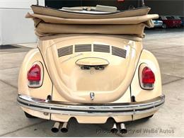 1971 Volkswagen Beetle (CC-2087845) for sale in Calverton, New York