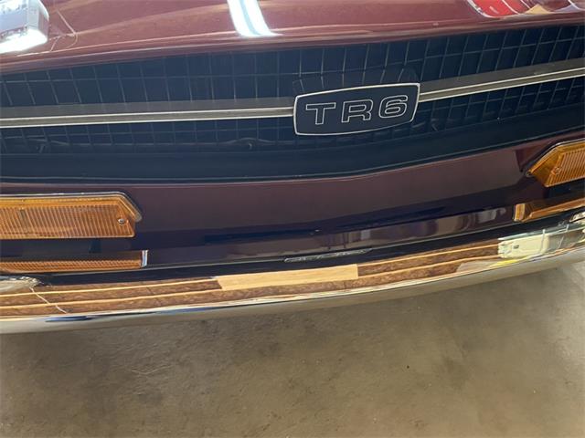 1969 Triumph TR6 (CC-2087901) for sale in Denver, Colorado