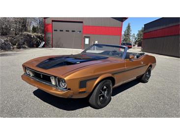 1973 Ford Mustang (CC-2080797) for sale in Annandale, Minnesota