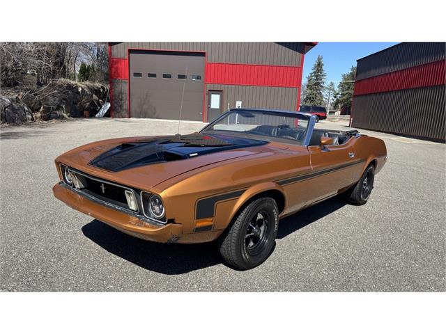 1973 Ford Mustang (CC-2080797) for sale in Annandale, Minnesota