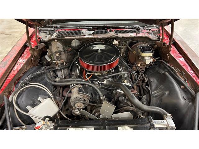 1981 Chevrolet Camaro RS (CC-2087987) for sale in Mankato, Minnesota