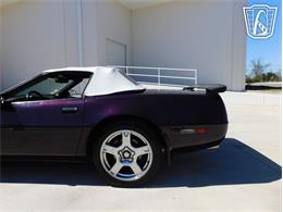 1993 Chevrolet Corvette (CC-2087994) for sale in Concord, North Carolina
