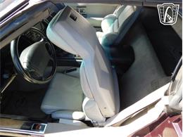 1993 Chevrolet Corvette (CC-2087994) for sale in Concord, North Carolina